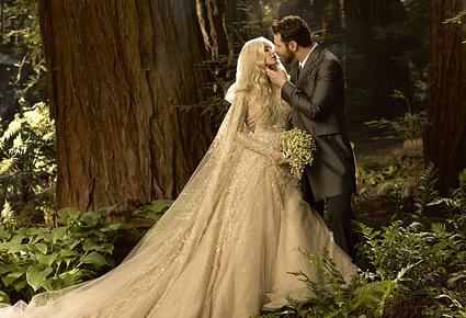 زواج شون باركر بحفل أسطوري ب10 ملايين دولار